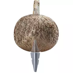 Arboa Arbofix gyökérlabda rögzítő, törzskerület: 35 – 45 cm. Arboa Arbofix gyökérlabda rögzítő, törzskerület: 35 – 45 cm.