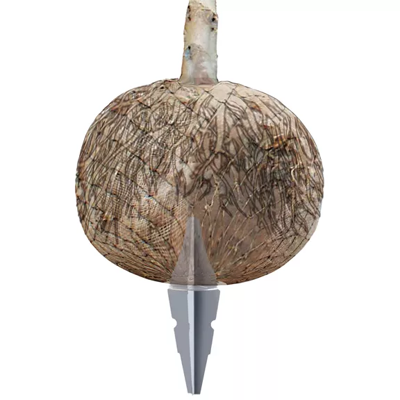 Arboa Arbofix gyökérlabda rögzítő, törzskerület: 35 – 45 cm. Arboa Arbofix gyökérlabda rögzítő, törzskerület: 35 – 45 cm.