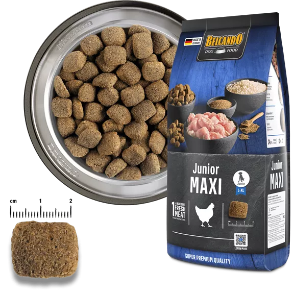 Belcando Junior Maxi 22,5 kg - friss hússal (új)