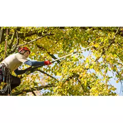 Berger ArboRapid ágvágó rúd 83-190 cm