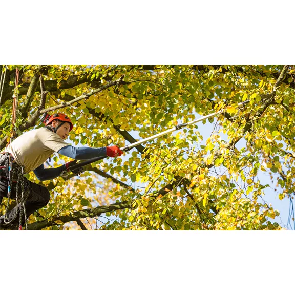 Berger ArboRapid ágvágó rúd 83-190 cm