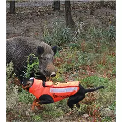 Browning Protect Hunter védőmellény kutyáknak, 75 cm mellbőségig