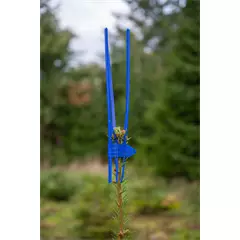 Cactus Pro hajtáskupak magoncokhoz, kék, 100 db