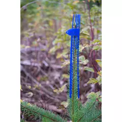 Cactus Pro hajtáskupak magoncokhoz, kék, 100 db
