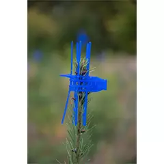 Cactus hajtáskupak, kék, 1000 db