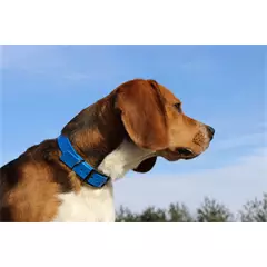 Canihunt nyakörv 25 x 650 mm, kék
