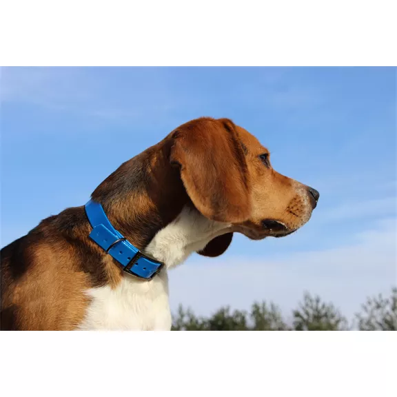 Canihunt nyakörv 25 x 650 mm, kék