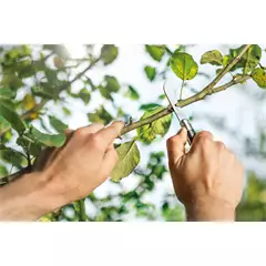 Cellfast faiskolai kacorkés, összecsukható Cellfast faiskolai kacorkés, összecsukható