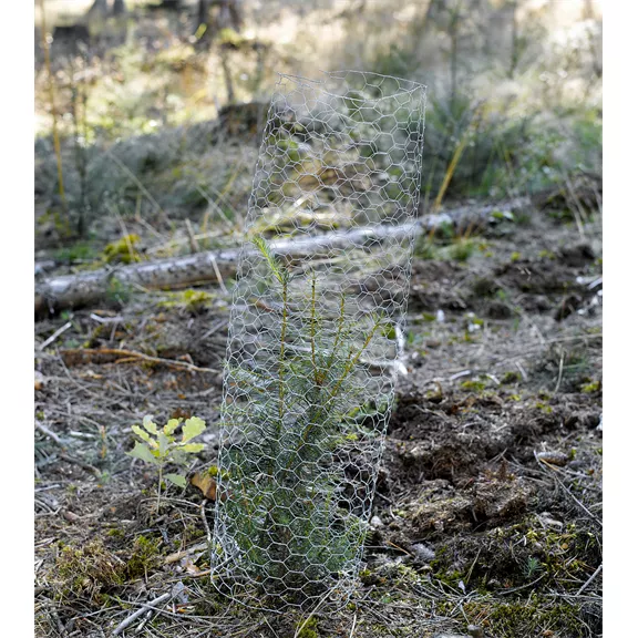 Csemetevédő drótfonat 25mm/0,8mm/75x75/24 (100 DB)