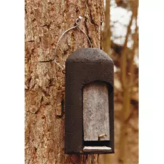 Denevérodu 2FN (speciális), 36 cm