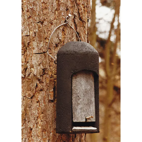 Denevérodu 2FN (speciális), 36 cm