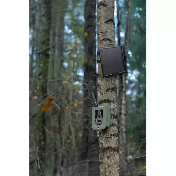 Dörr napelem vadkamerákhoz Dörr napelem vadkamerákhoz
