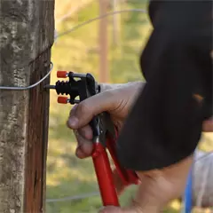 Drótvágó fogó