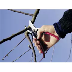FELCO 11 metszőolló FELCO 11 metszőolló