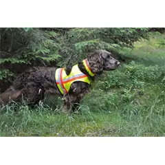 Figyelemfelhívó mellény kutyának, S