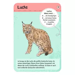 Kártyajáték, 50 heimische Wald- & Wildtiere (német nyelvű) Kártyajáték, 50 heimische Wald- & Wildtiere (német nyelvű)
