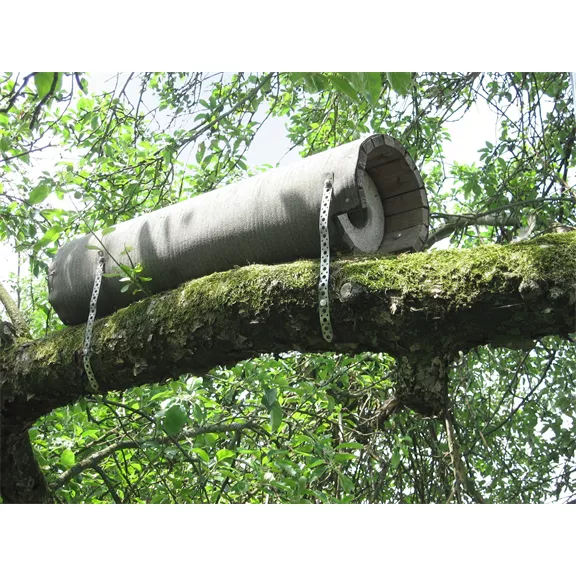 Kuvik odú Kuvik odú