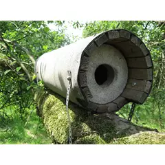 Kuvik odú Kuvik odú