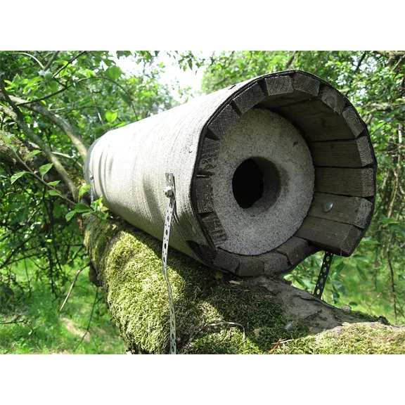 Kuvik odú Kuvik odú