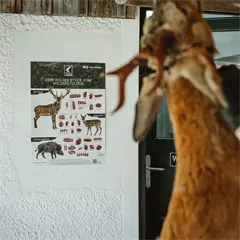 Landig vadhús részek falikép