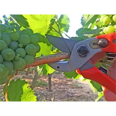 Löwe Nr. 15 üllős metszőolló műanyag nyéllel