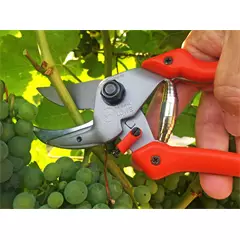 Löwe Nr. 8 üllős metszőolló hajlított nyéllel