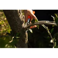 Löwe metszőolló  Nr. 10, 30 mm-ig