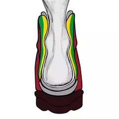 Meindl "Engadin Men MFS" bakancs, barna, 6,5 (40)