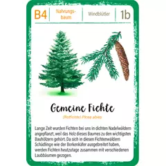 Moses Bäume kvartett kártyajáték (német nyelvű)