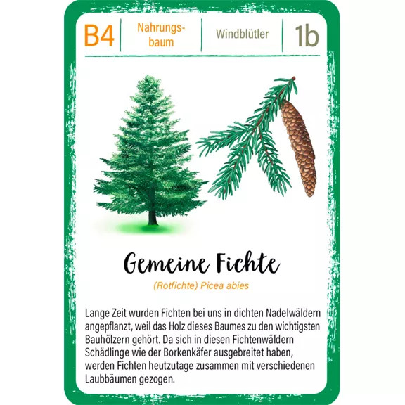 Moses Bäume kvartett kártyajáték (német nyelvű)