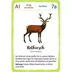 Moses Waldtiere kvartett kártyajáték (német nyelvű)