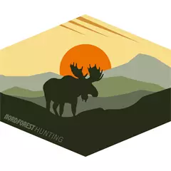 Nordforest Hunting Alnis női kapucnis pulóver, hellgrün, M