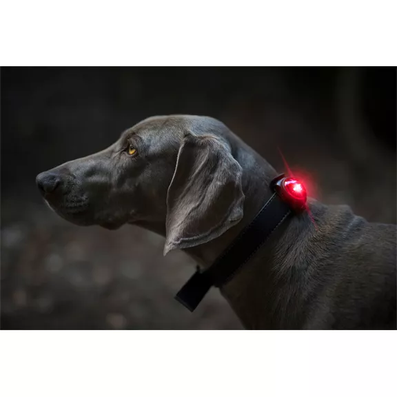 Orbiloc Dog Dual Light biztonsági lámpa, piros