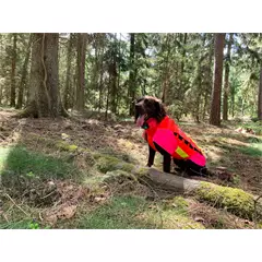 Outdog védőmellény (hosszított változat) kan kutyáknak, 60 cm