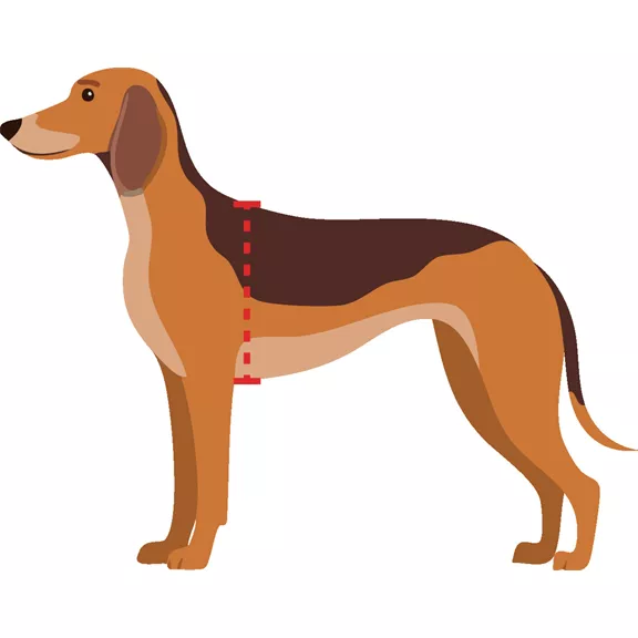 Outdog védőmellény (hosszított változat) szuka kutyáknak, 60 cm