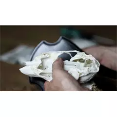 Őz trófea rögzítő, 5 db