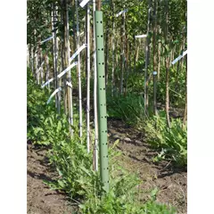 Planta-Gard védőmandzsetta, zöld, 120 cm
