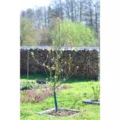 RAINBOW védőspirál 100 PVC Recycling, zöld, 60 cm