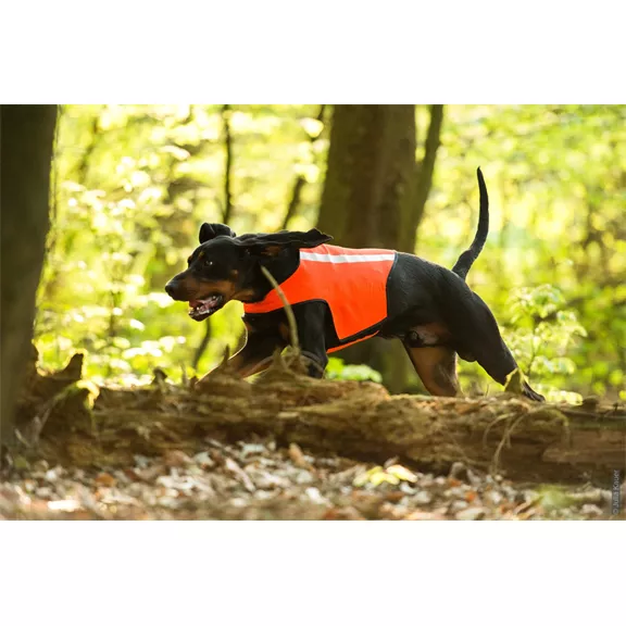 Rüdemeister láthatósági mellény kutyáknak, neonnarancs, S