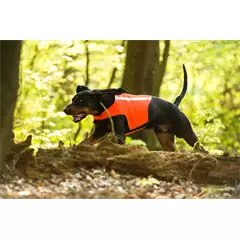 Rüdemeister láthatósági mellény kutyáknak, neonnarancs, S