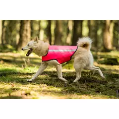 Rüdemeister láthatósági mellény kutyáknak, pink, S