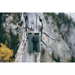 SWAROVSKI EL Range 8x42 keresőtávcső 2021