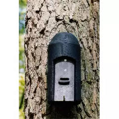 Schwegler denevérodú 1FD - univerzális fabeton