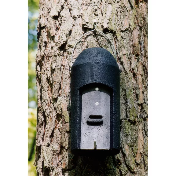 Schwegler denevérodú 1FD - univerzális fabeton