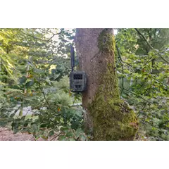 Seissiger Vadkamera, Special-Cam  LTE
