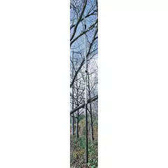 Silky kampó, teleszkópos rúdra