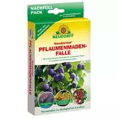 Szilvakukac csapda