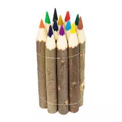 Színes ceruza készlet ágakból, 12 db-os