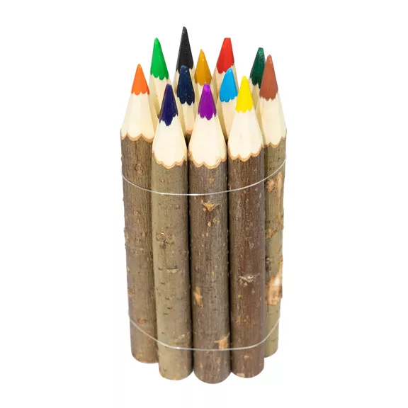 Színes ceruza készlet ágakból, 12 db-os