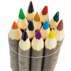 Színes ceruza készlet ágakból, 12 db-os